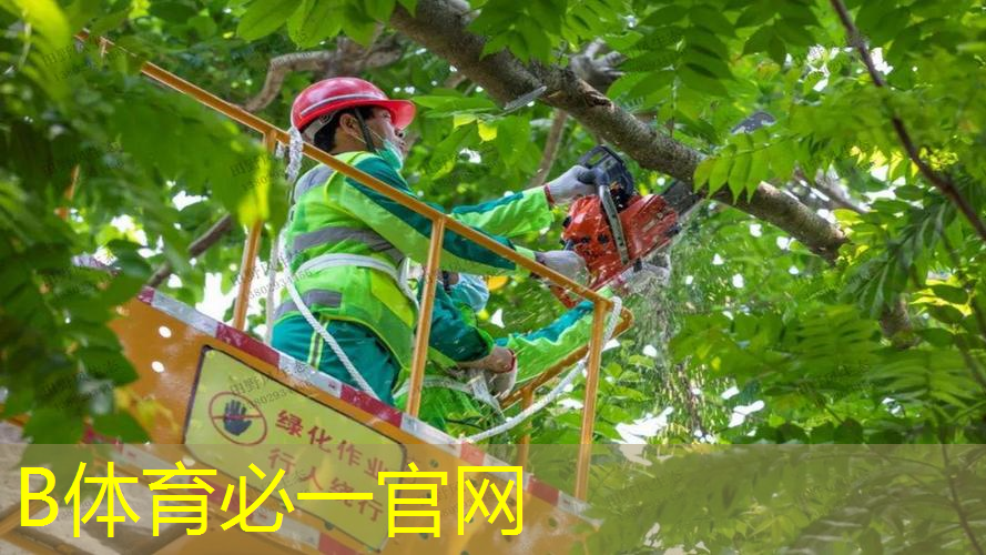 网球拍是铁合金做的吗_