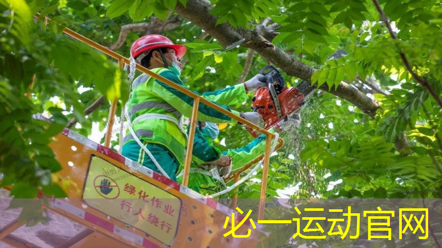 如何挑选合适的手抛网球拍