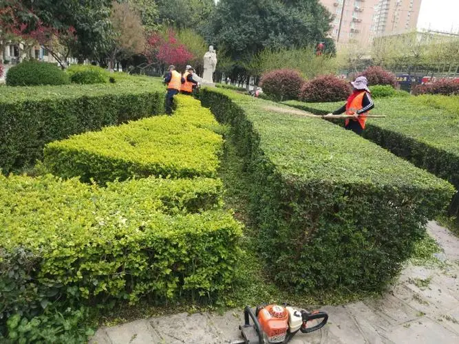 网球拍价格高低的区别在哪