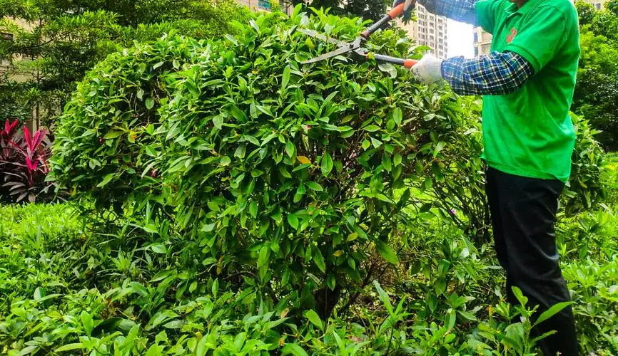 网球拍手柄3号变2号