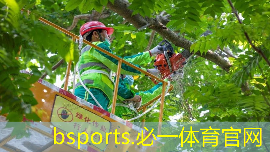 美观大气！一体化施工技术赋予塑胶跑道更多设计魅力