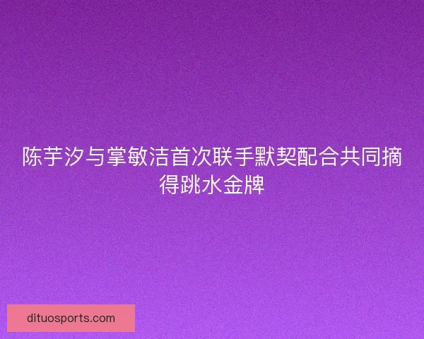 陈芋汐与掌敏洁首次联手默契配合共同摘得跳水金牌