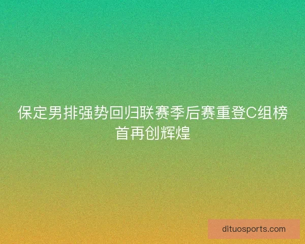 保定男排强势回归联赛季后赛重登C组榜首再创辉煌