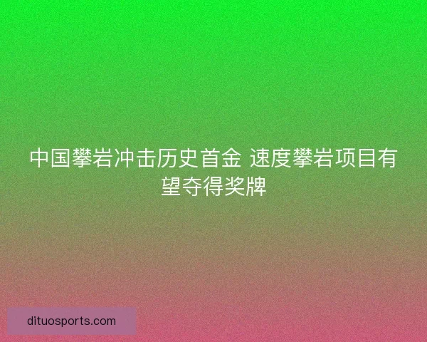 中国攀岩冲击历史首金 速度攀岩项目有望夺得奖牌